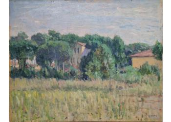 Campagna - Versilia Bassa Campagna - Versilia Bassa